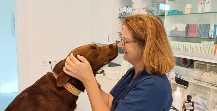 Ärztin mit Hund in der Tierarztpraxis im Bezirk Bruck-Mürzzuschlag